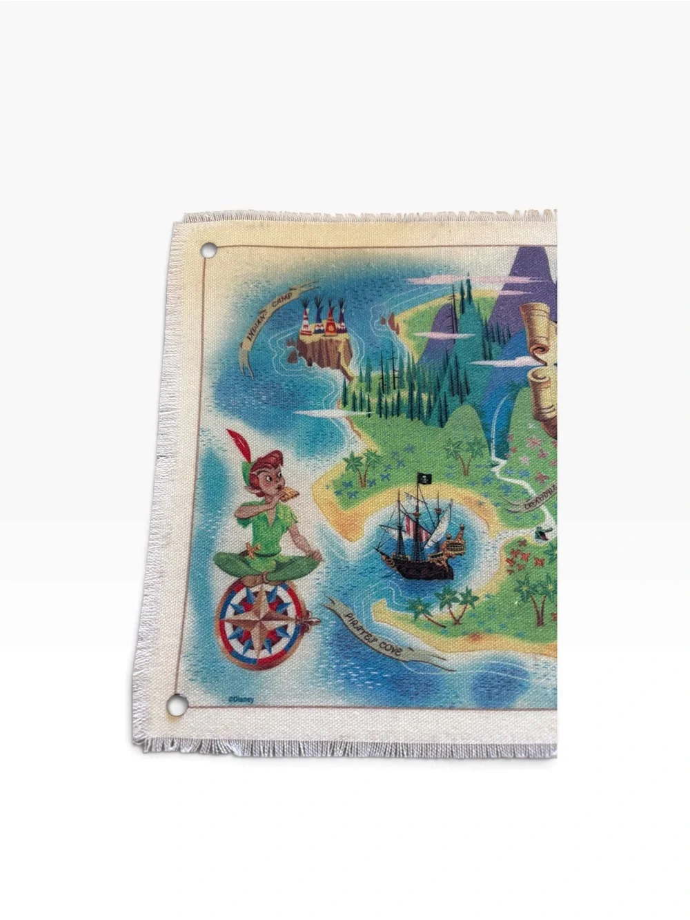 Disney Peter Pan Neverland Map Framed Wood Wall Decor 15